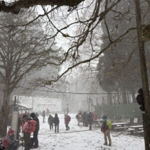 雪が降ってきました